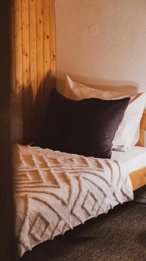 Scardona Rustica, Bed & Breakfast With Jacuzzi, Bbq And Free Parking In Skradin, Krka Leilighet Eksteriør bilde